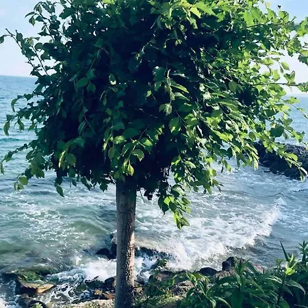 изумительный вид на море/amazing Sea View
