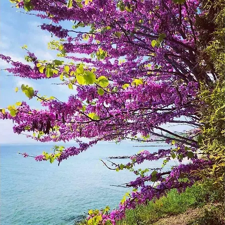 Διαμέρισμα изумительный вид на море/amazing Sea View
